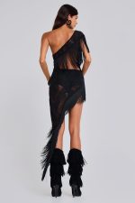 Vivienne Lace Fringe Dress - Image 2