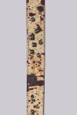 Rodeo Cow 100% Leather Belt - Image 7