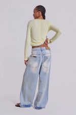 Sheer Henley Top in Buttercup - Image 5