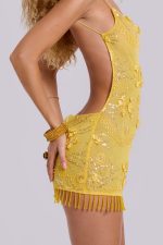 Ellora Embellished Mini Dress in Solar - Image 6
